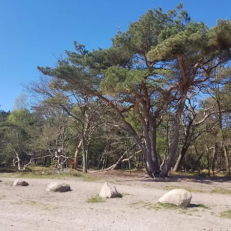 4 Star Holiday Home In Frederiksvaerk Semesterbostad